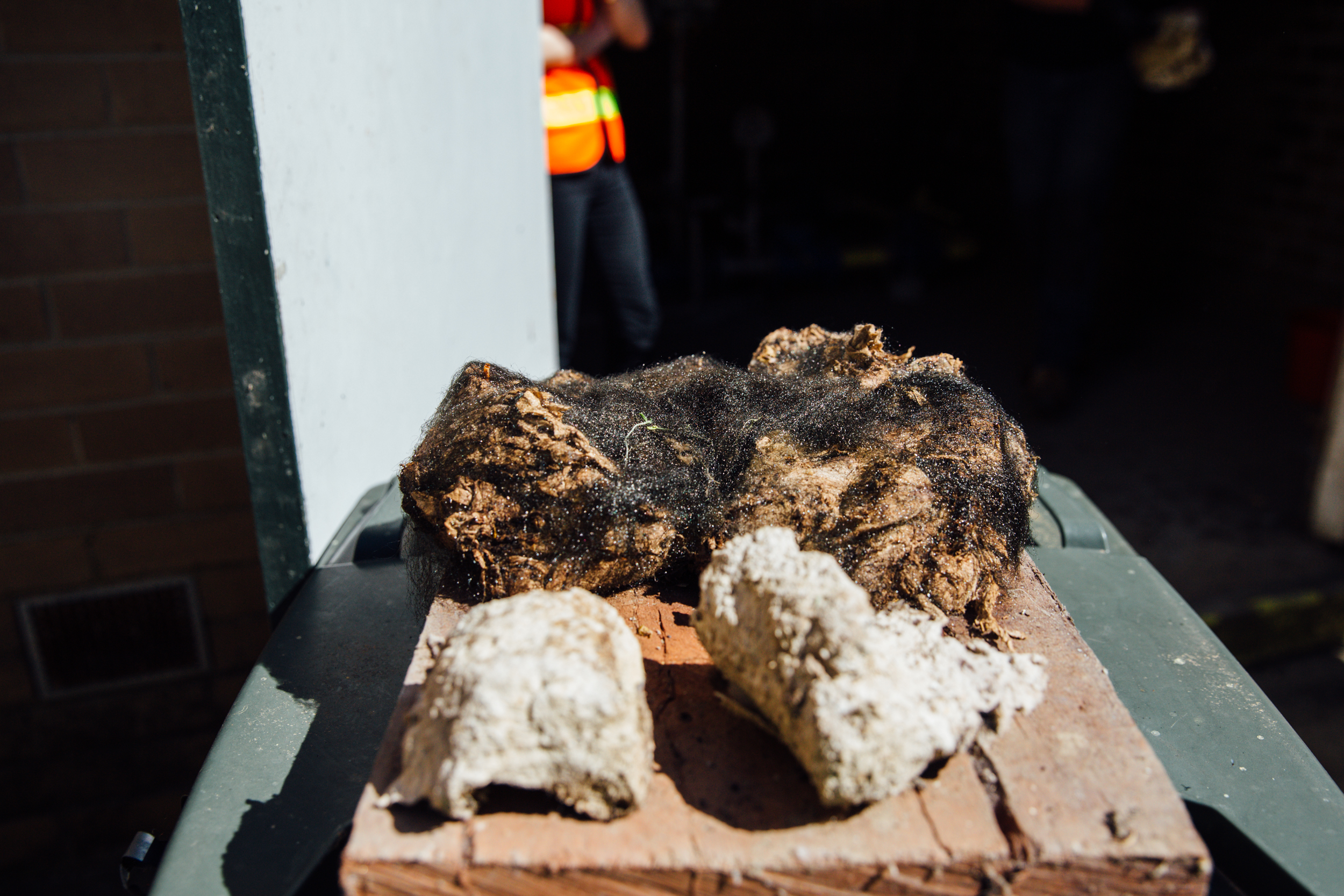 Everything you never wanted to know about Fatbergs
