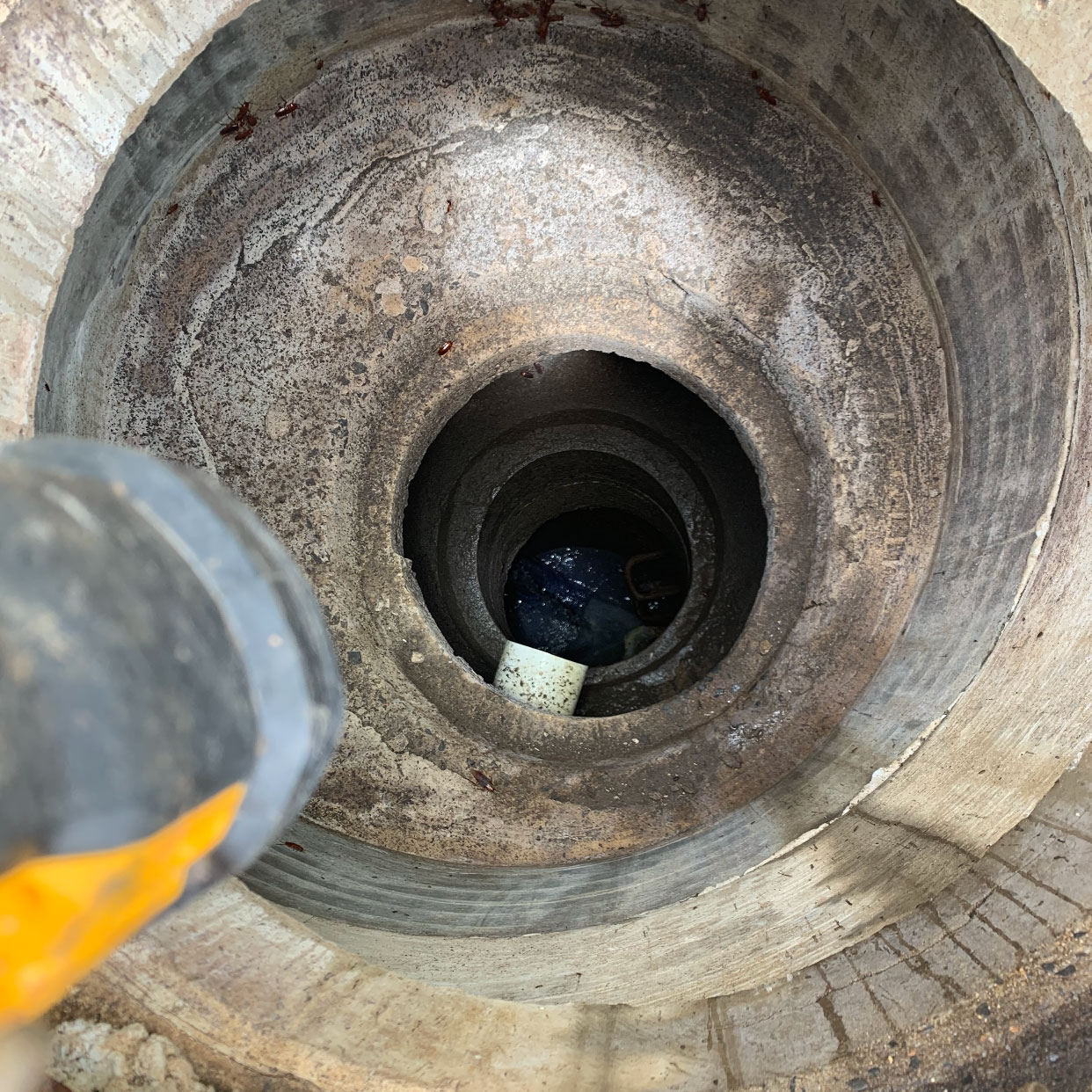 Underwater pipe relining an Australian first (case study)