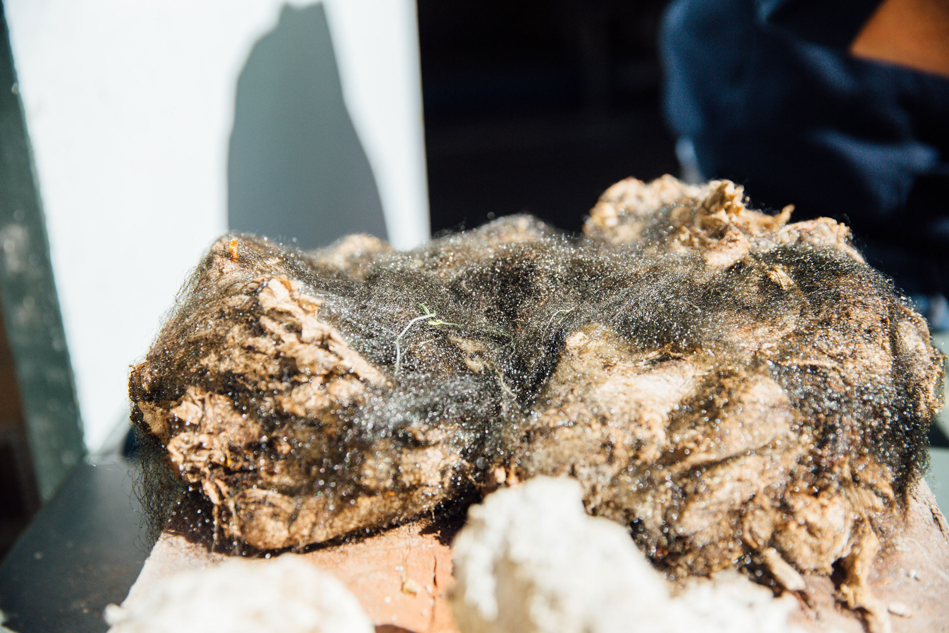 Everything you never wanted to know about Fatbergs